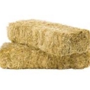 Fazel store, selling export and import of fresh straw in Hamedan