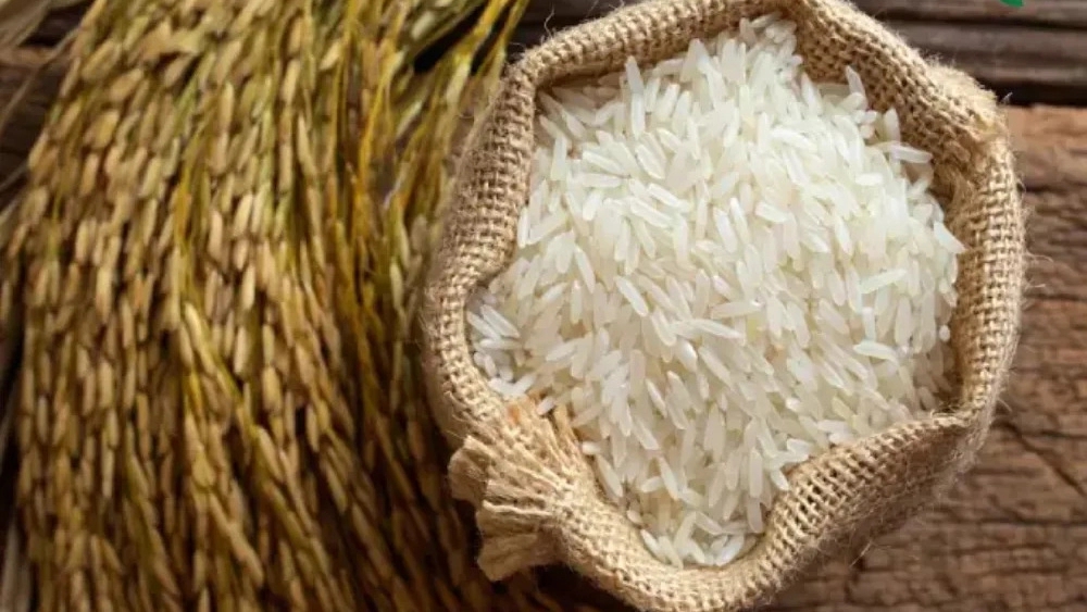 Mirmozafari Rice Factory, production and sale of all kinds of rice in Rasht