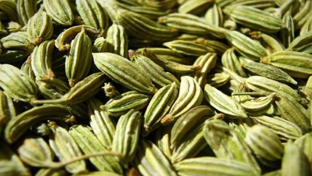Taj Fard Trading, export and sale of green and black cumin in Tehran