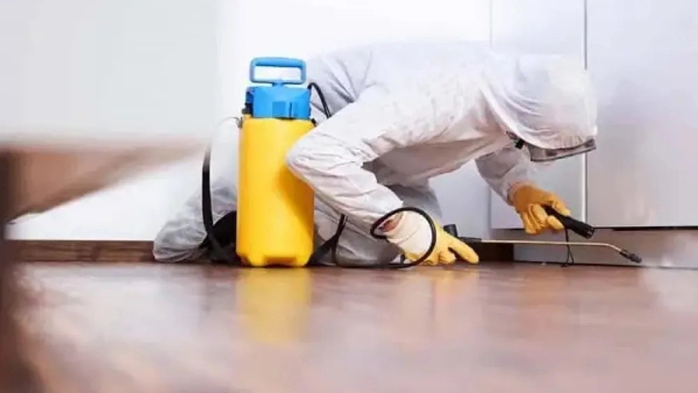 Nepa spraying, spraying services and implementation of green spaces in Khuzestan