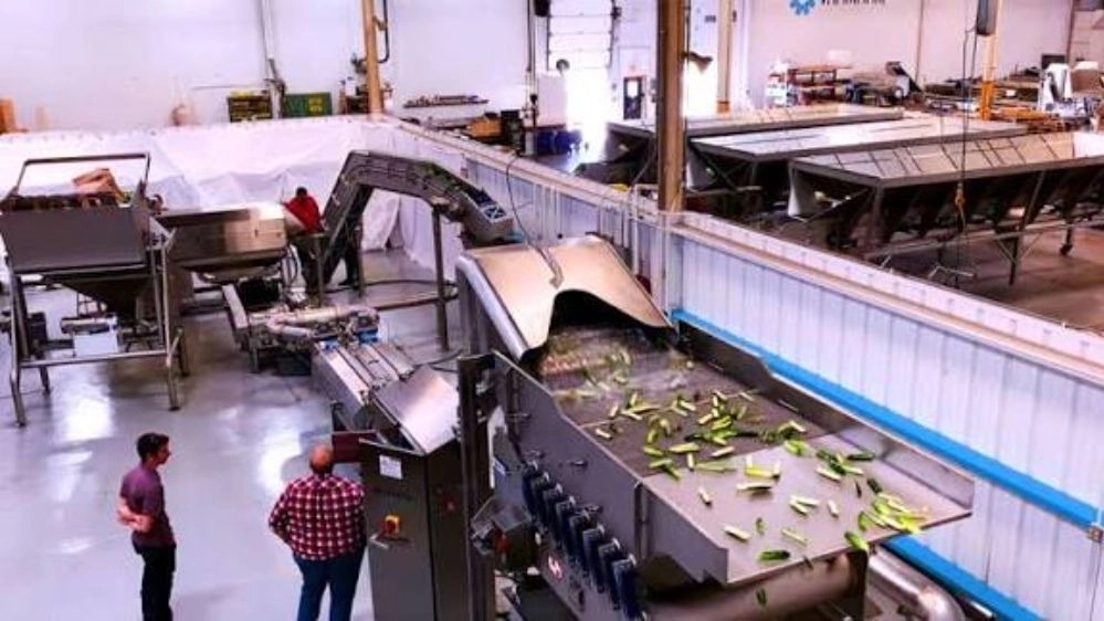 Pasteurized tunnel with 316 steel for cucumber production lines in Shiraz