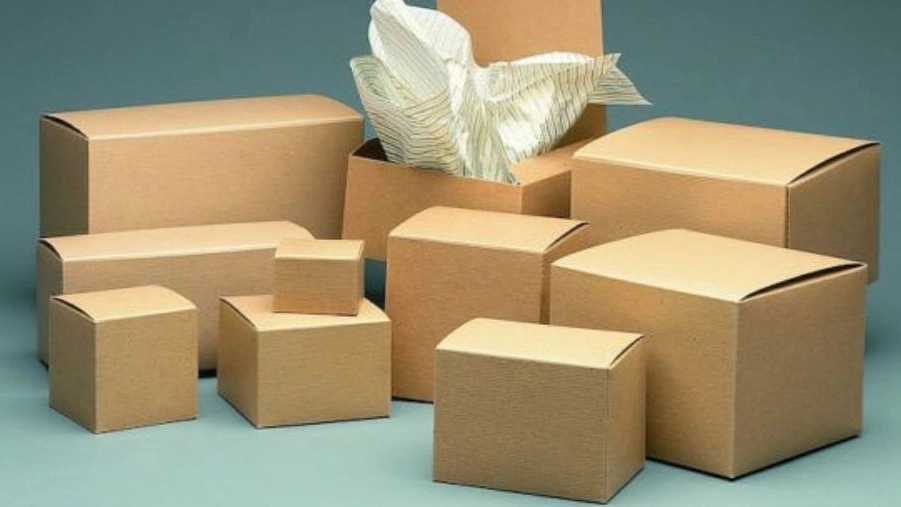 Rasa Pack carton manufacturing, production and sale of cartons and boxes in Mashhad