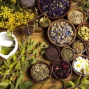 Taheri Trading, wholesale purchase and sale of medicinal plants in Shiraz