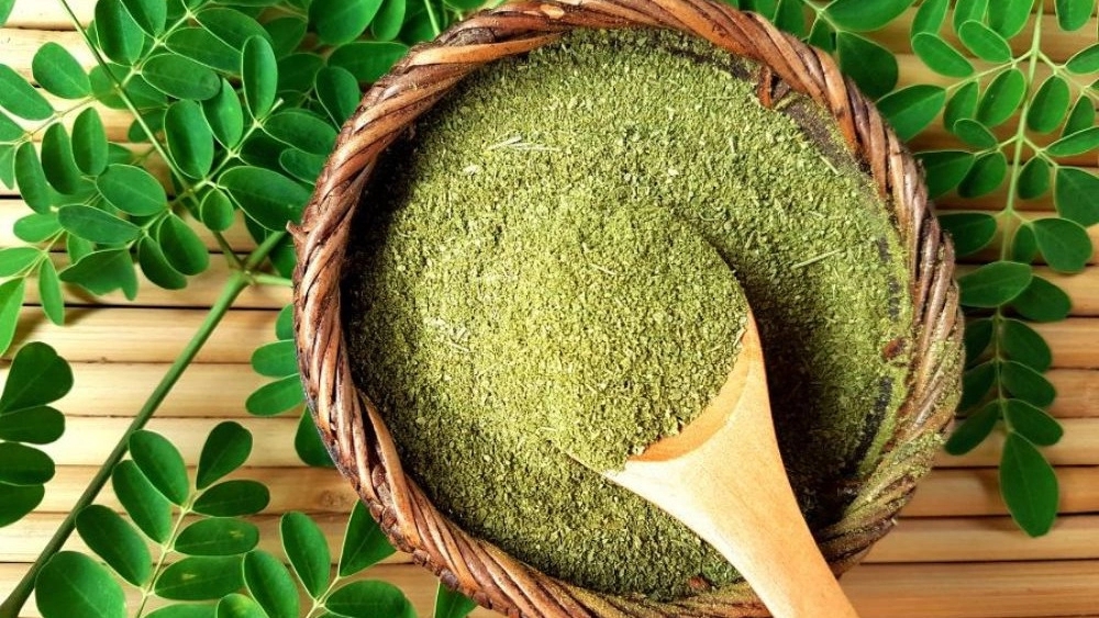 Taheri Trading, wholesale purchase and sale of medicinal plants in Shiraz