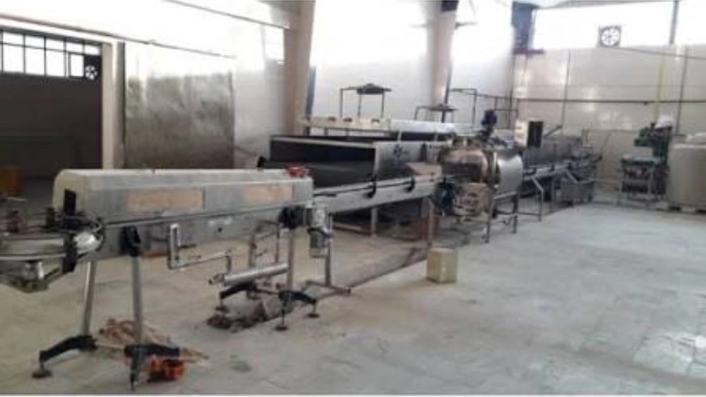 Modern solution for pickled cucumber production line in Tehran