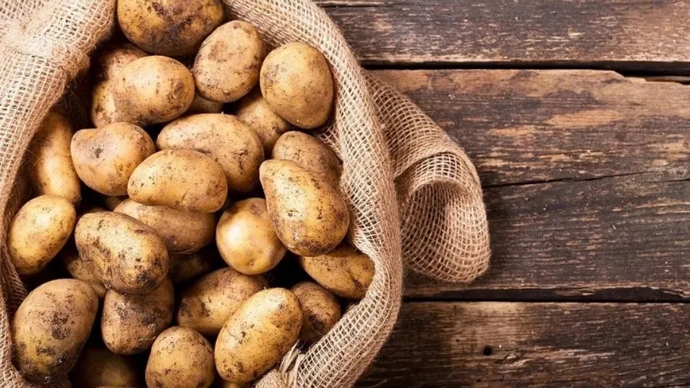 Pars Bazar, potato producer in Ardabil