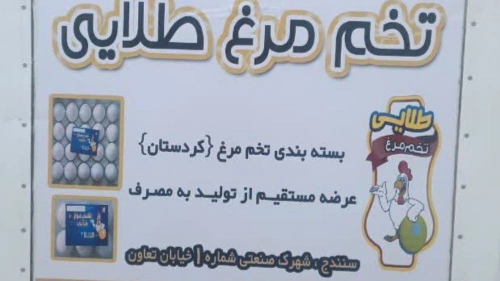 Golden egg packaging, egg production and distribution in Sanandaj