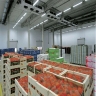 Houshman Sarma, construction and implementation of industrial cold storage and control system in Tehran