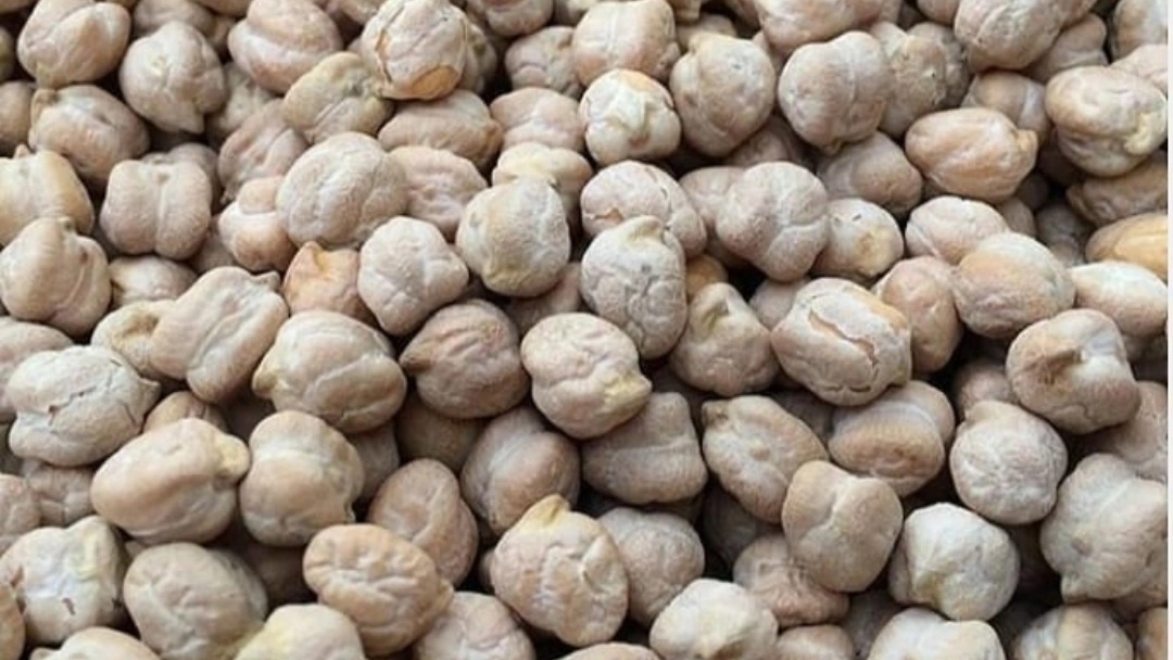 Buy high-quality dukhan chickpeas First grade chickpeas, size 8 and 9 mm