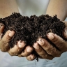 Yarai store, sale of pigeon and cow manure in Behshahr, Mazandaran
