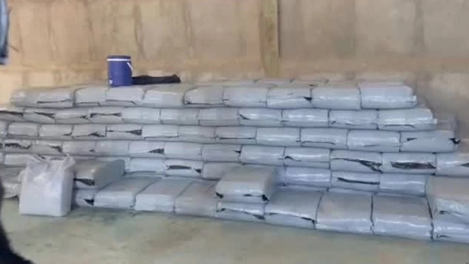 Akbarzadeh International Trading, buying and selling of livestock in Miandoab