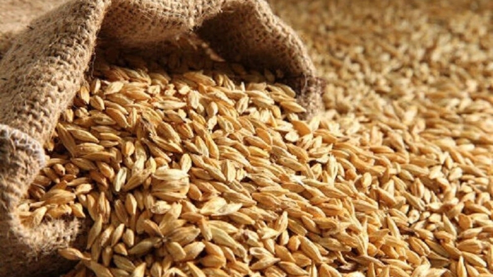 Daniyar store, production and sale of animal and poultry feed in Sanandaj