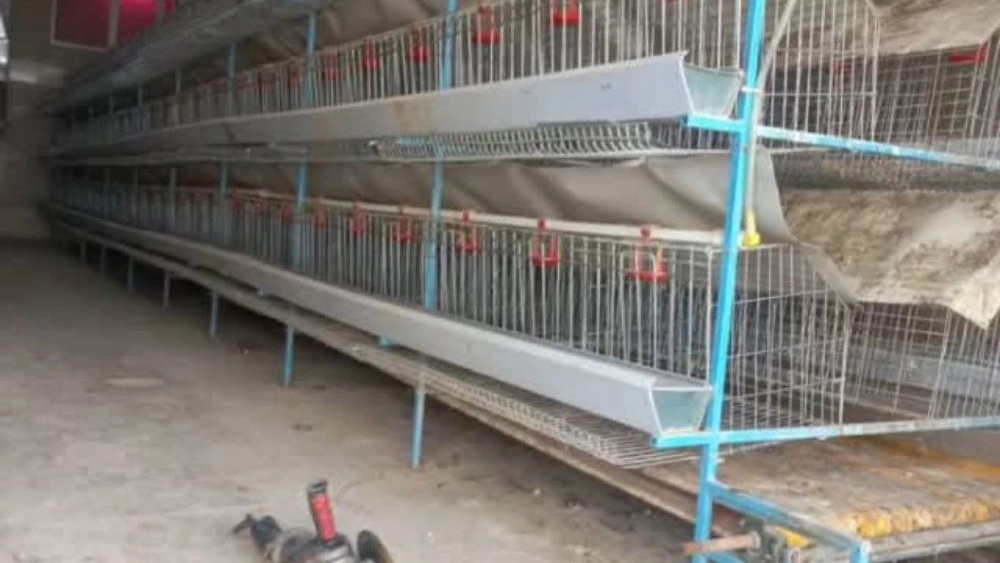 Iran Gharb Poultry, production and distribution of all poultry equipment and animal feed in Qazvin