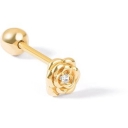 Rosa Gold Piercing, microdermal and surface gold piercing services in Rasht