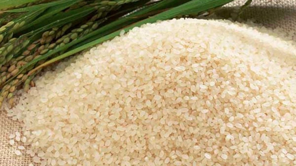 Efritzadeh brothers rice milling factory, production and sales of local amber rice in Shushtar