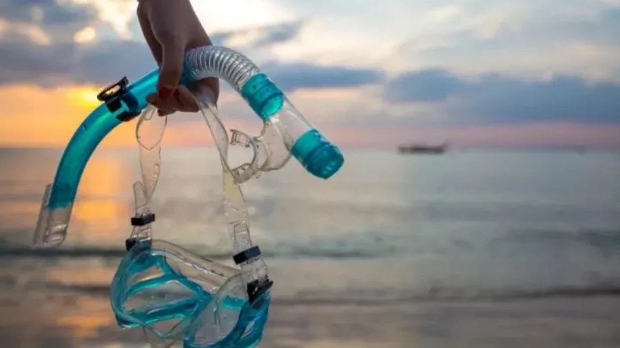 Swim Pro, selling specialized swimming equipment in Bushehr