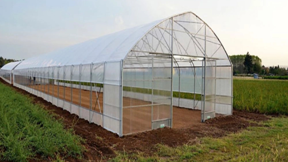 Khazai greenhouse, construction and equipment of greenhouse in Hamadan