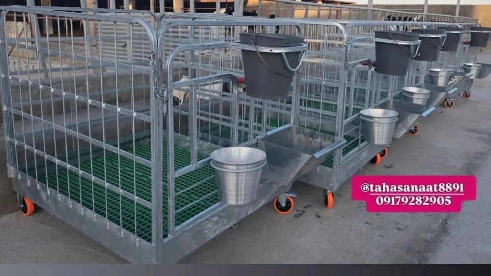 Buy Milky Calf Box with pacifier buckets for livestock