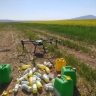 Gulsarkhi spraying, foliar spraying of agricultural products by drone in Mashhad