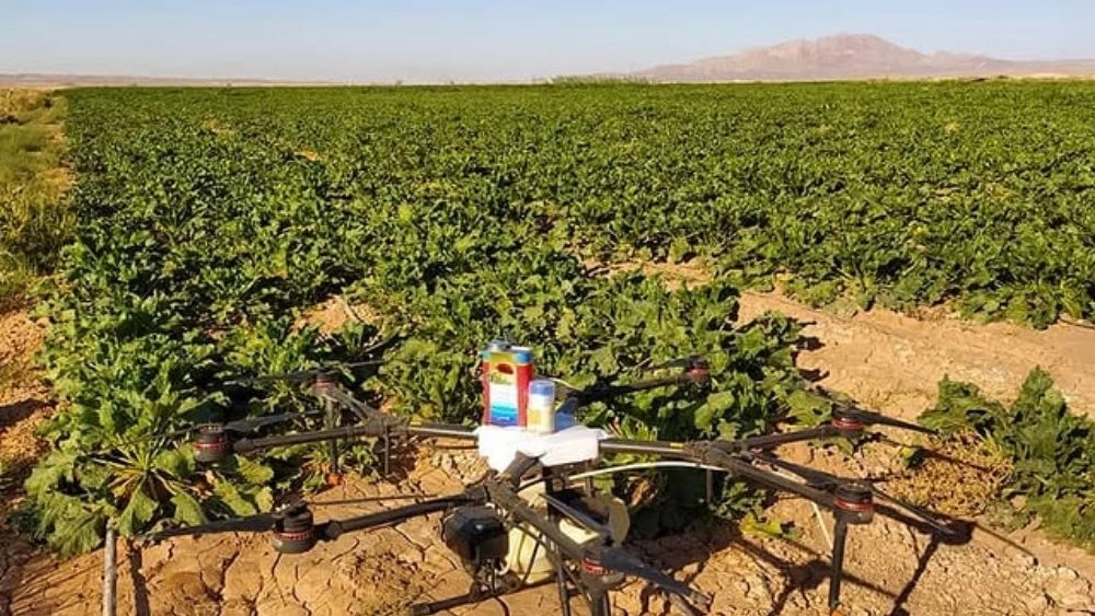 Gulsarkhi spraying, foliar spraying of agricultural products by drone in Mashhad