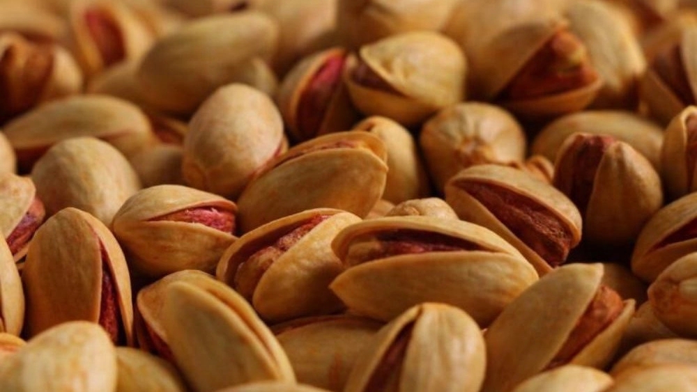 The largest producer of pistachios and dates in Kerman