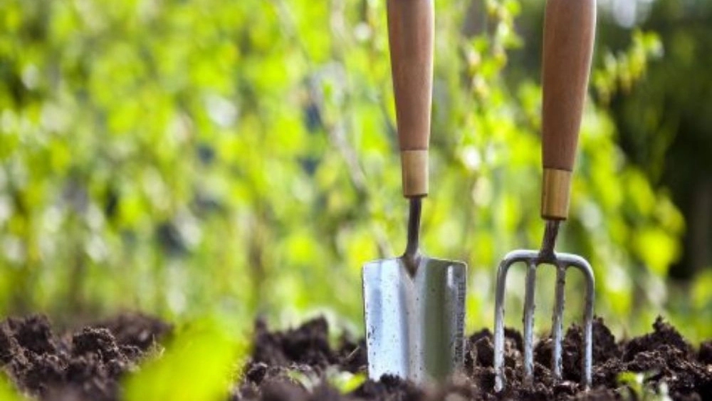 Islamic Services Company, implementation of gardening and green space services in Shiraz