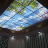 New interior decoration of ceiling, implementation of false ceiling and parquet and marble sheet in Bomhen