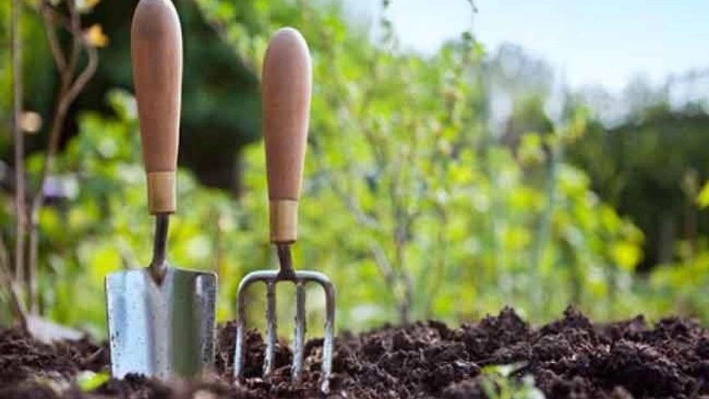 Buying agricultural and gardening supplies in Marivan