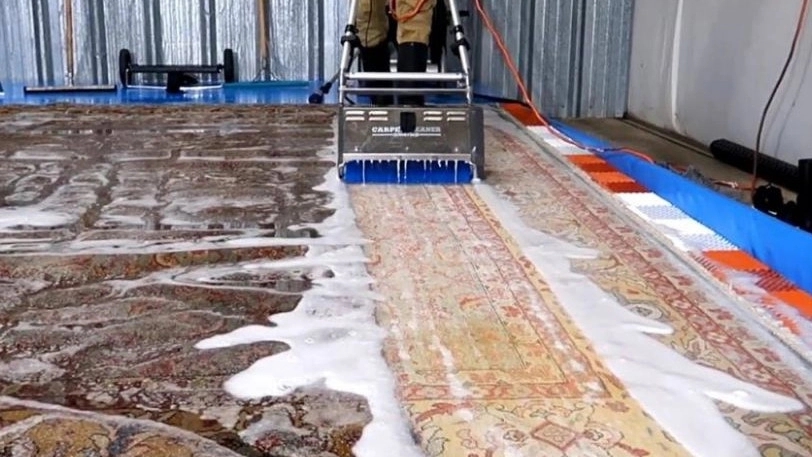Rose carpet cleaning, sofa cleaning and blanket cleaning in Ilam