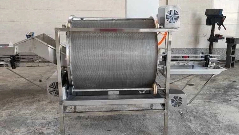 Industrial pickled cucumber production line in Shiraz with excellent quality and high profitability