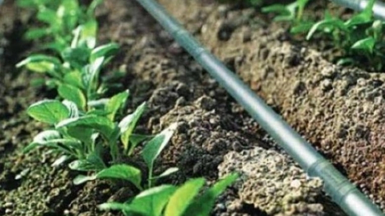 نوار آبیاری قطره ای