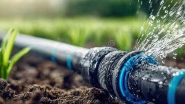 Guide to choosing the best polyethylene pipe size for drip irrigation in Zamzam Pipe Khodadadi