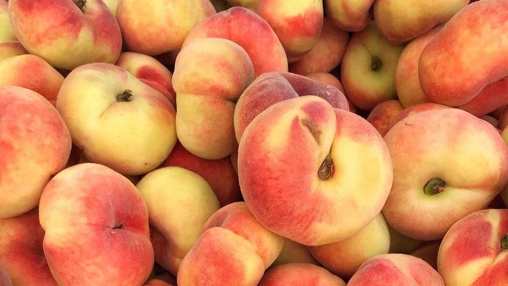 Selling peach and fig seedlings with fast delivery