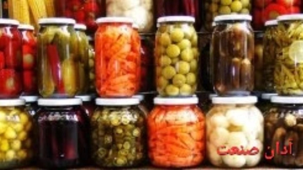 Construction of pickle production line with mass production capability