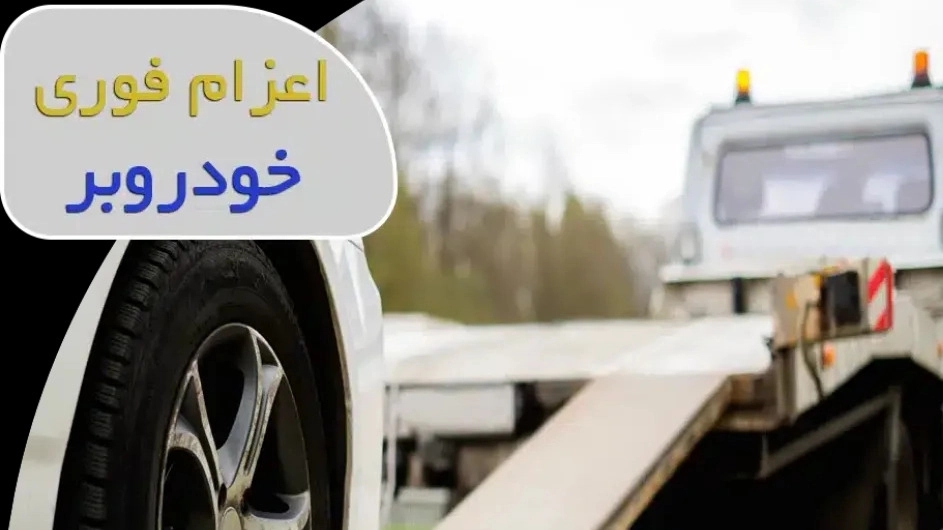 إرسال سريع للقطر في نيشابور