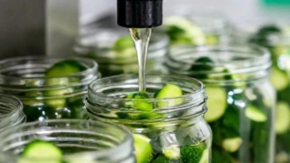 Technical consultation of cucumber production line with Adan Sanat;