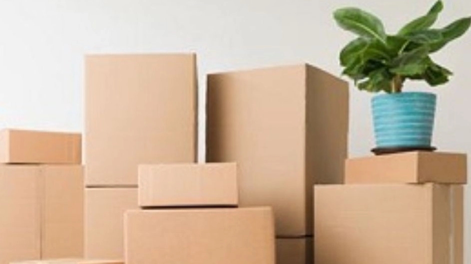 Isfahan carton factory produces and sells 3-layer and 5-layer cartons