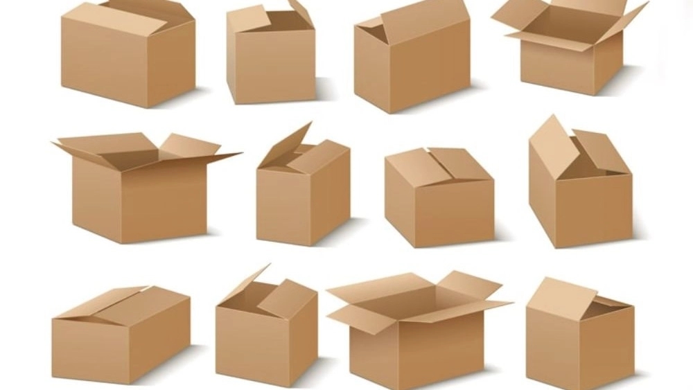 Production of cartons and packaging boxes in Isfahan