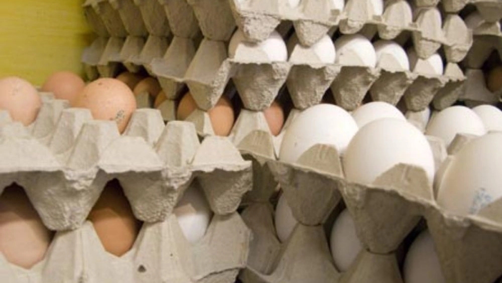 Wholesale distribution center of egg comb with reasonable price in Tehran