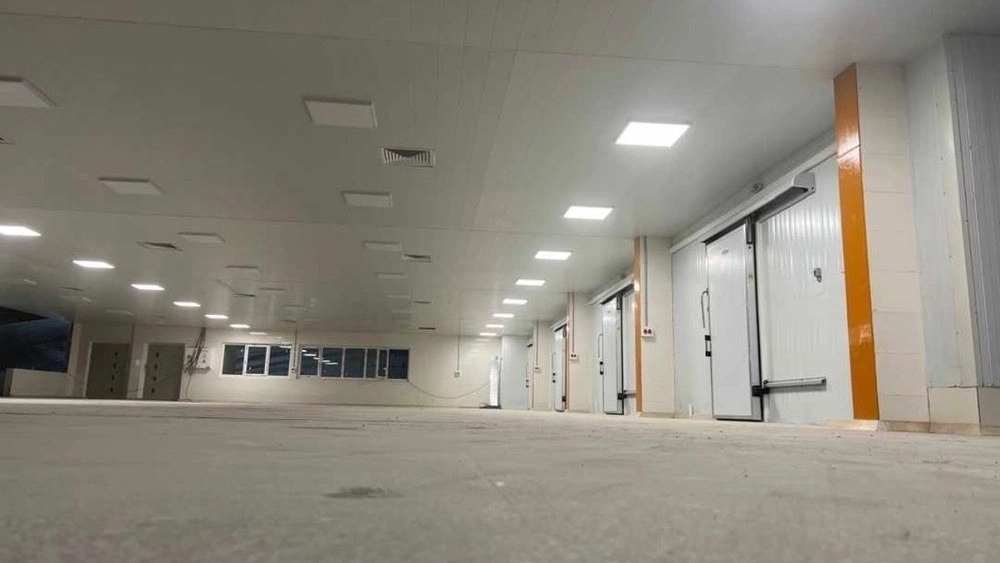 Construction of standard cold storage A complete review of the cost of building a cold storage room and the required equipment