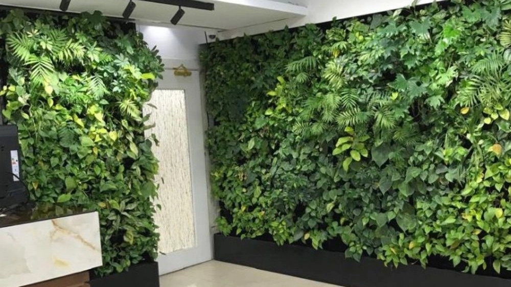 Kalbe Sabz flower and plant center, implementation of roof garden and green wall in Tehran