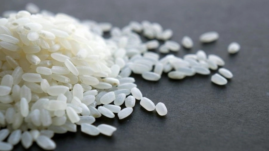 Zarin Fars store, wholesale sale of Iranian half-grain amber camphoroz rice in Shiraz