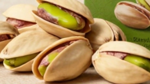 Exporting pistachios from Kerman with Behnam Tejarat Parsian