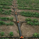 Klivand facilities, raindrop agricultural plumbing services and swimming pools in Malair