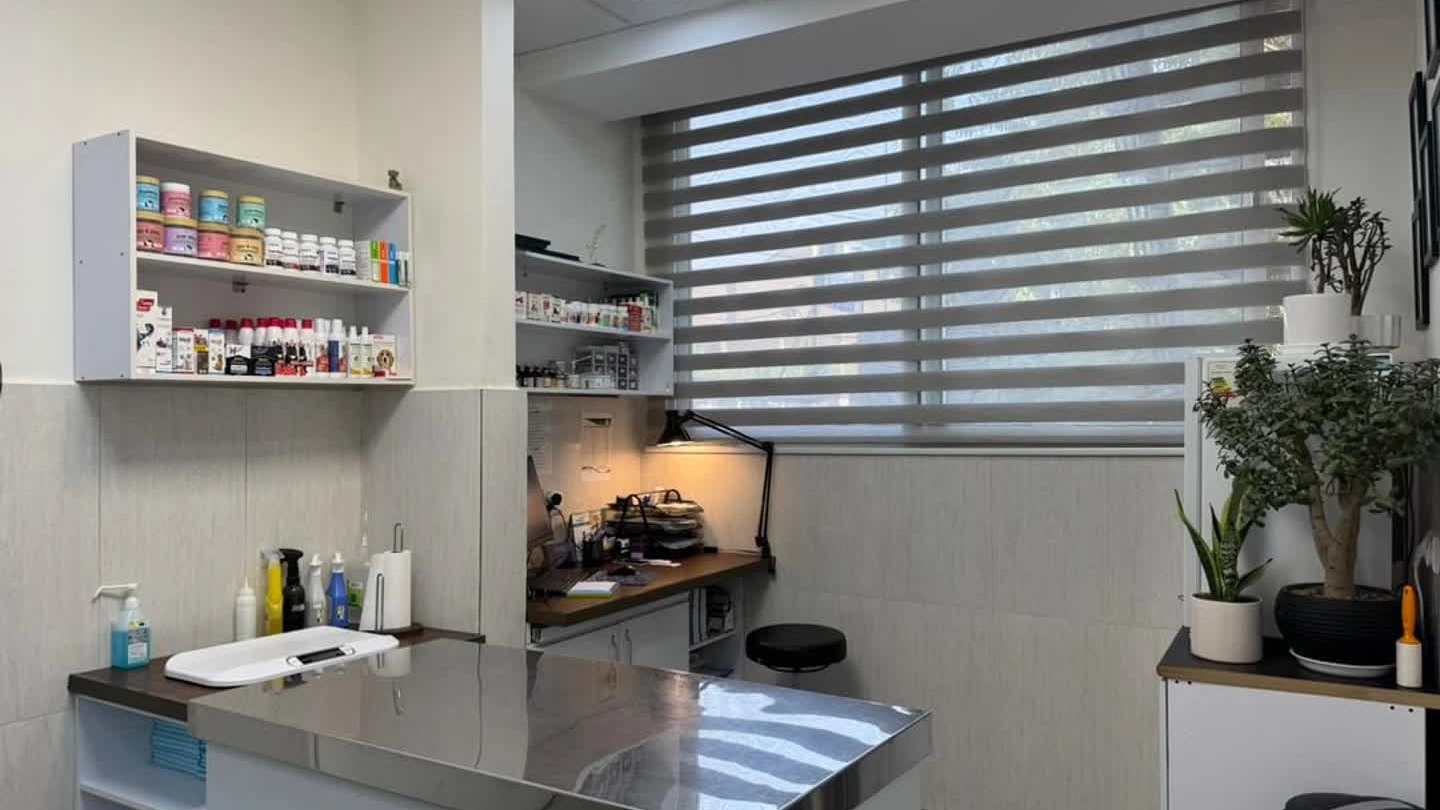 Ariana veterinary clinic, dog and cat examination and surgery in Isfahan