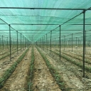 Shed Saiban Haraz, production and sales of awning net in Amol Mazandaran