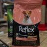 TK Pet Pet Shop, selling animal food and incentives in Karaj