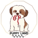 Poppyland pet shop and boarding house, maintenance and grooming of apartment dogs in Karaj
