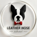 Leather nose school, specialized training of domestic dogs in Mehrshahr, Karaj