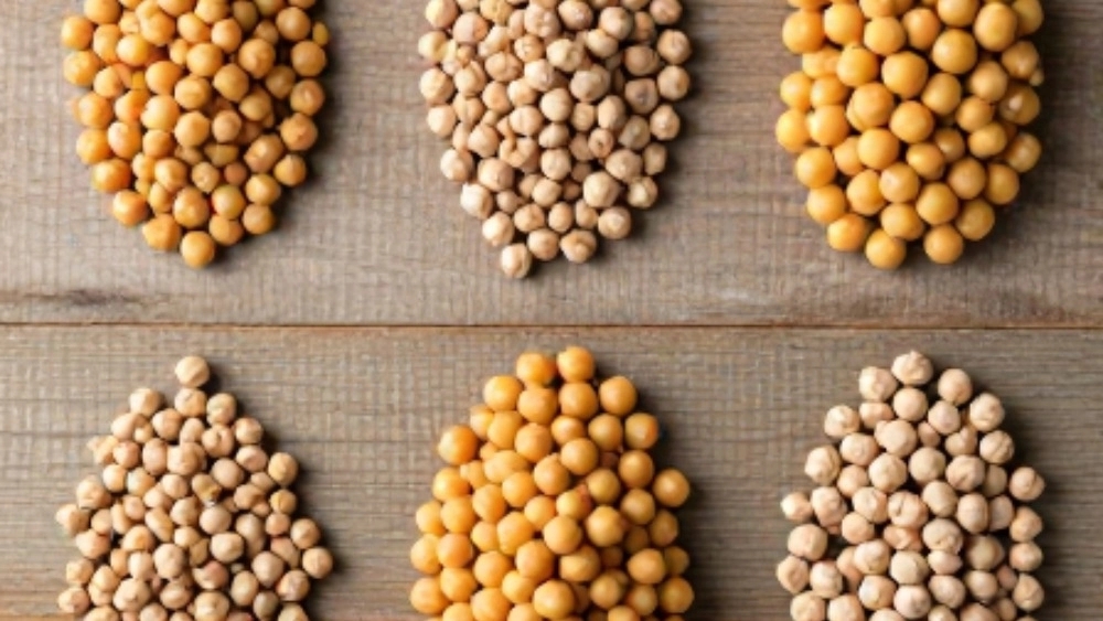 Types of peas based on size and quality, a complete guide to choosing the best peas